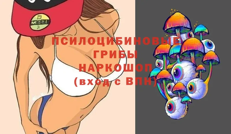 Галлюциногенные грибы Magic Shrooms  закладка  Ржев 